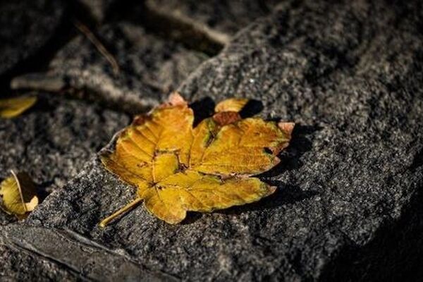 پیش‌بینی هواشناسی مشهد و خراسان رضوی