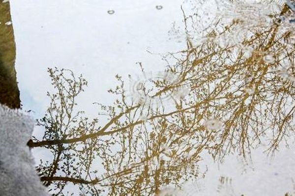 پیش‌بینی هواشناسی مشهد و خراسان رضوی، امروز (چهارشنبه، ۲ اردیبهشت ۱۴۰۵) | تداوم فعالیت موج بارشی تا پایان هفته