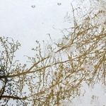 پیش‌بینی هواشناسی مشهد و خراسان رضوی، امروز (چهارشنبه، ۲ اردیبهشت ۱۴۰۵) | تداوم فعالیت موج بارشی تا پایان هفته