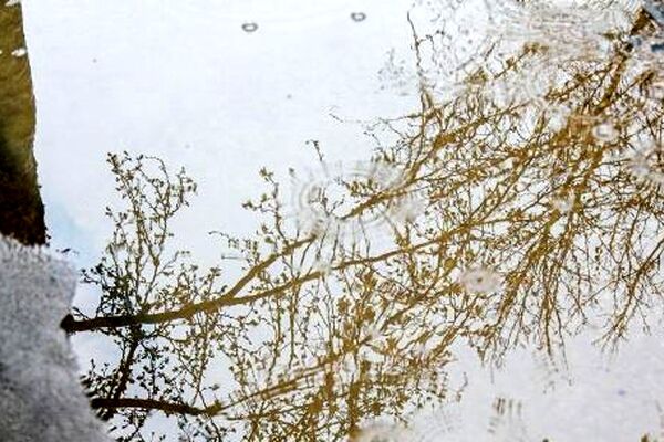 پیش‌بینی هواشناسی مشهد و خراسان رضوی، امروز (چهارشنبه، ۲ اردیبهشت ۱۴۰۵) | تداوم فعالیت موج بارشی تا پایان هفته