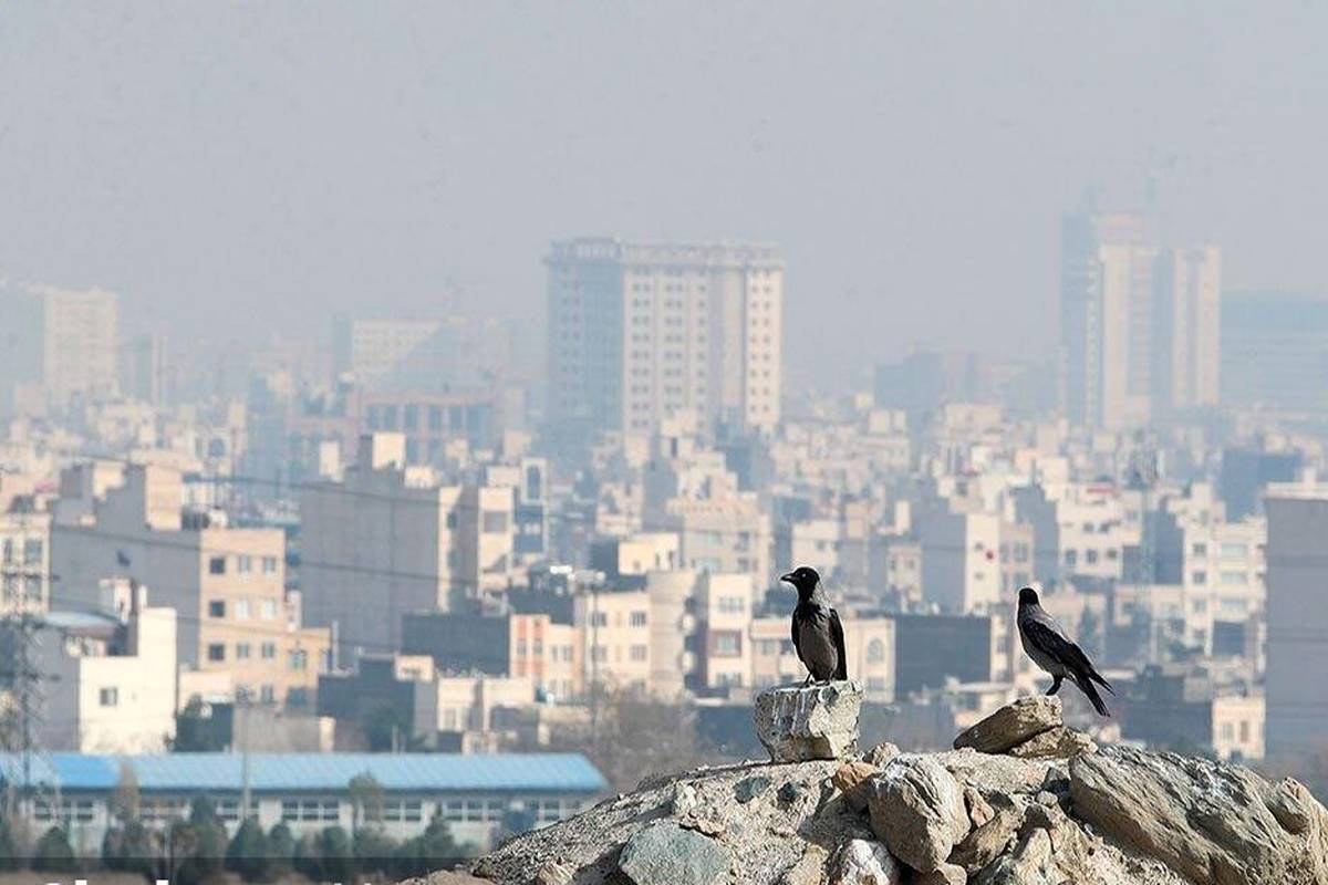 پیش‌بینی هواشناسی مشهد و خراسان رضوی (دوشنبه، ۳ دی ۱۴۰۳) | صدور هشدار سطح نارنجی در شهر‌های بزرگ و صنعتی