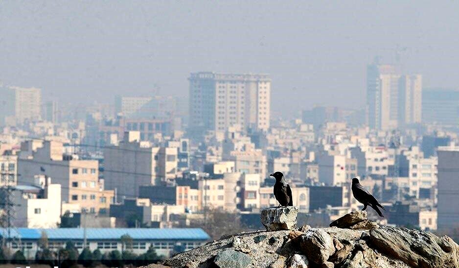 پیش‌بینی هواشناسی مشهد و خراسان رضوی (دوشنبه، ۳ دی ۱۴۰۳) | صدور هشدار سطح نارنجی در شهر‌های بزرگ و صنعتی