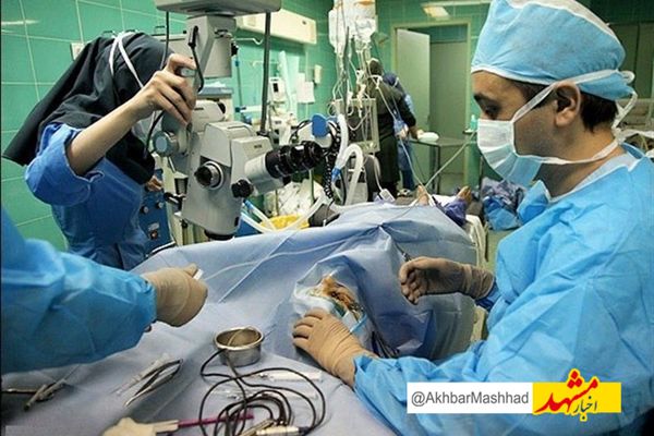 بیمار مرگ مغزی اهل تربت حیدریه به ۳ نفر حیات دوباره بخشید