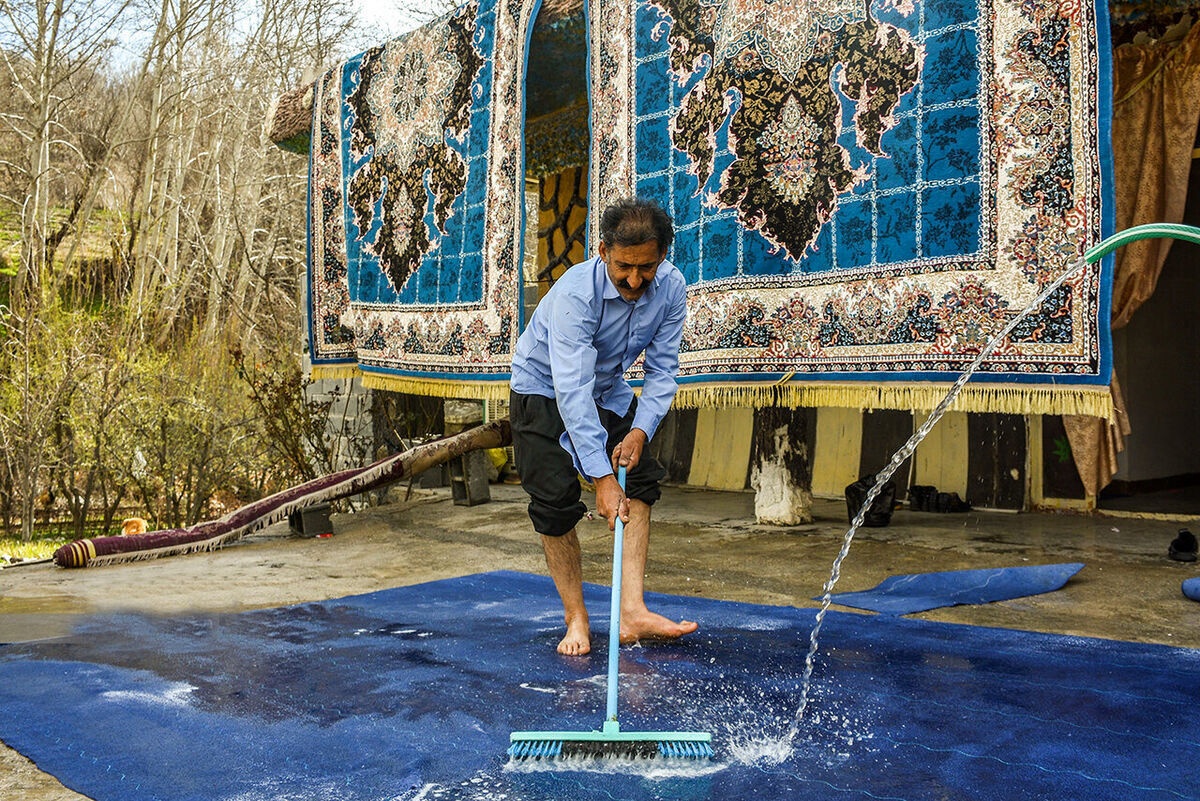 جولان قالیشویی های غیرمجاز در مشهد