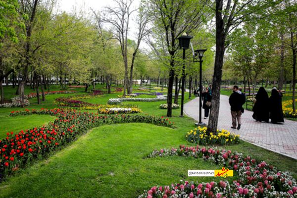 تلاش بی‌وقفه در روز‌های بی‌آبی برای نجات فضای سبز مشهد