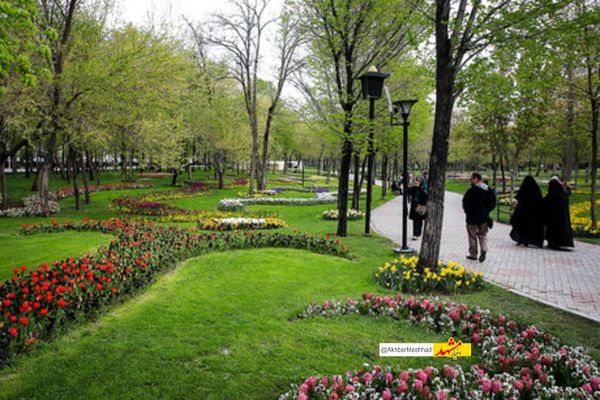 تلاش بی‌وقفه در روز‌های بی‌آبی برای نجات فضای سبز مشهد