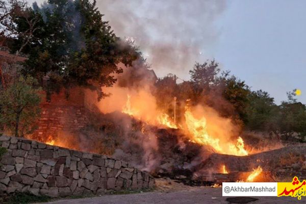 سهل انگاری طبیعت گرد، پارک جنگلی شاندیز را به آتش کشاند