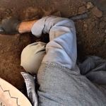 دستگیری باند ۱۰ نفره حفاران غیرمجاز در فریمان