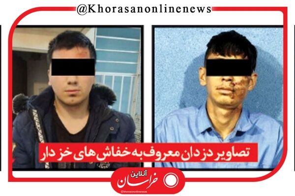 «خفاش‌های خزدار» زیر نورافکن‌های پلیس!
