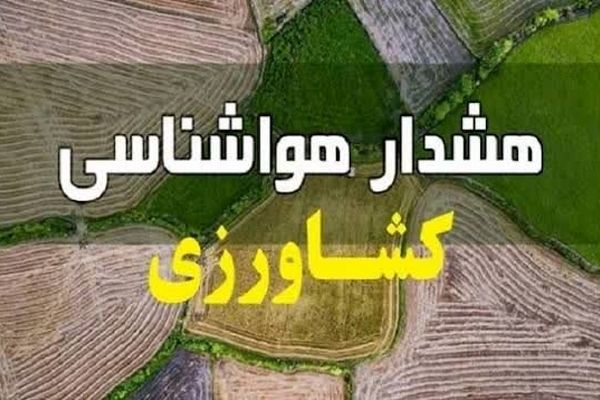 هشدار هواشناسی کشاورزی خراسان رضوی؛ طوفان گردوخاک و سرمای زودرس در راه استان