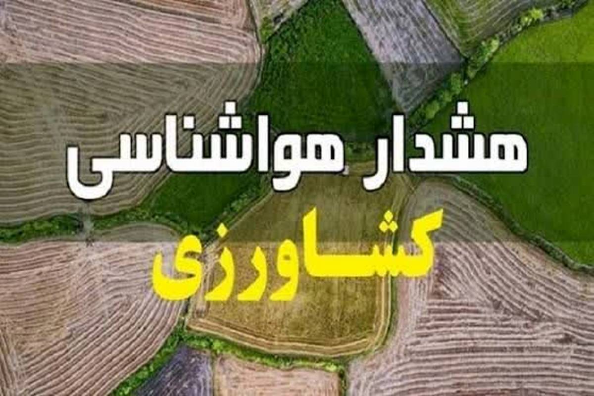 هشدار هواشناسی کشاورزی خراسان رضوی؛ طوفان گردوخاک و سرمای زودرس در راه استان
