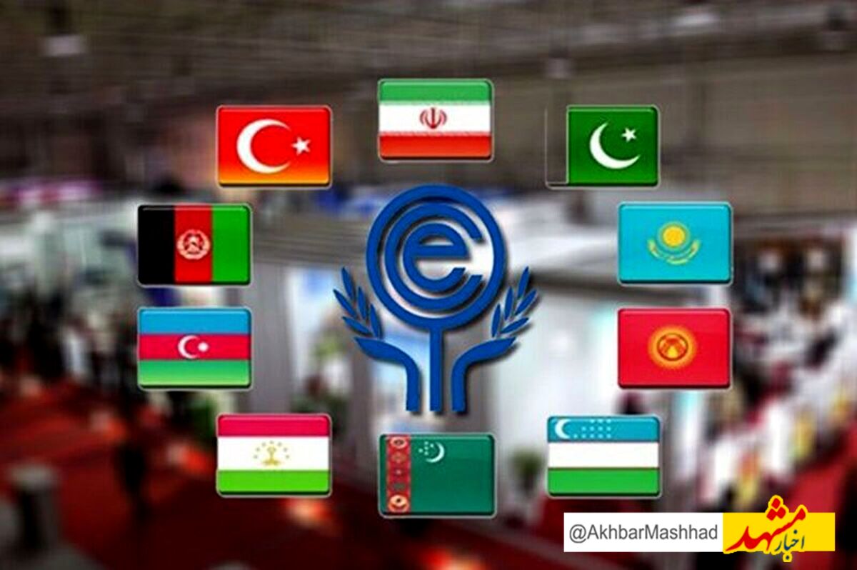 ۲ هیئت خارجی برای حضور در اجلاس اکو وارد مشهد شدند