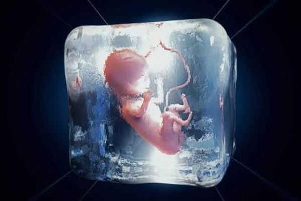 جنین‌های فریز شده کجا نگه‌داری می‌شوند؟