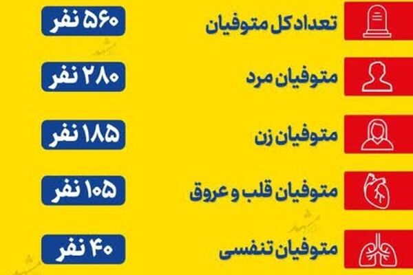 اینفوگرافی
