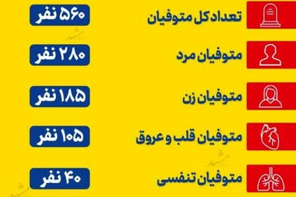 اینفوگرافی
