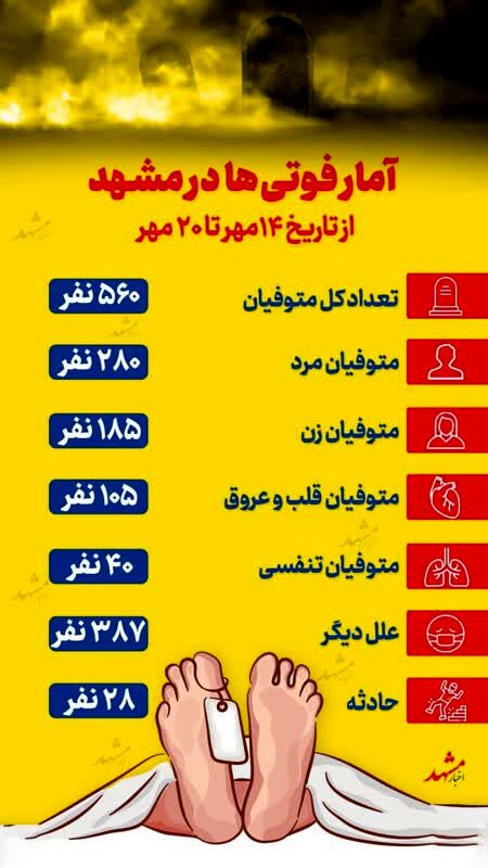 اینفوگرافی
