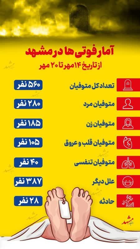 اینفوگرافی

