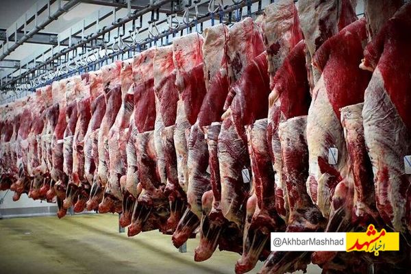 هشدار درباره تب کریمه‌کنگو در آستانه عید قربان؛ تنها در مراکز مجاز ذبح کنید