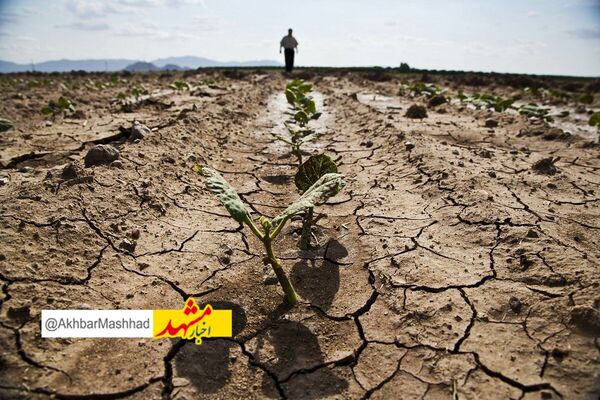 پاییز امسال فقط ۶ دهم میلیمتر باران در مشهد بارید