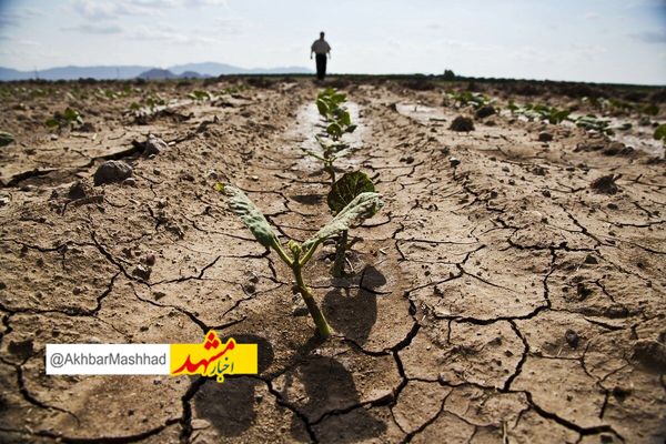 پاییز امسال فقط ۶ دهم میلیمتر باران در مشهد بارید