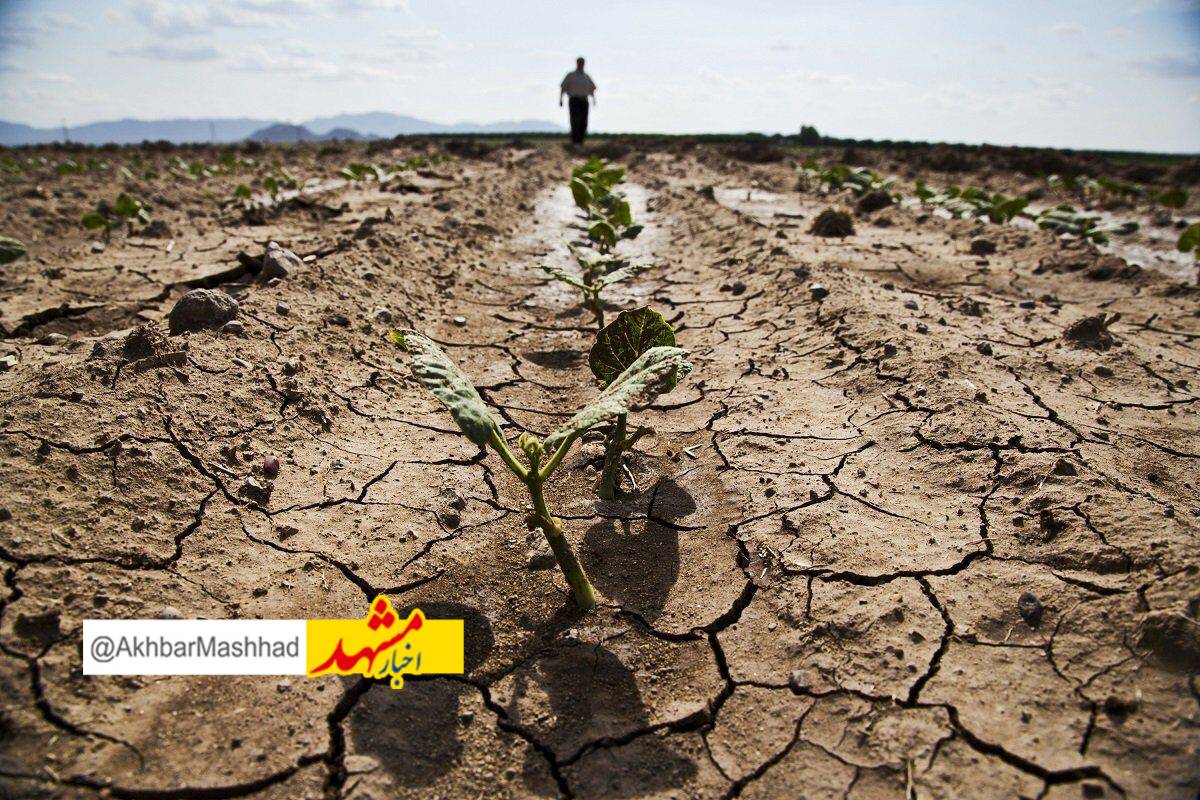 پاییز امسال فقط ۶ دهم میلیمتر باران در مشهد بارید