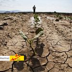 پاییز امسال فقط ۶ دهم میلیمتر باران در مشهد بارید