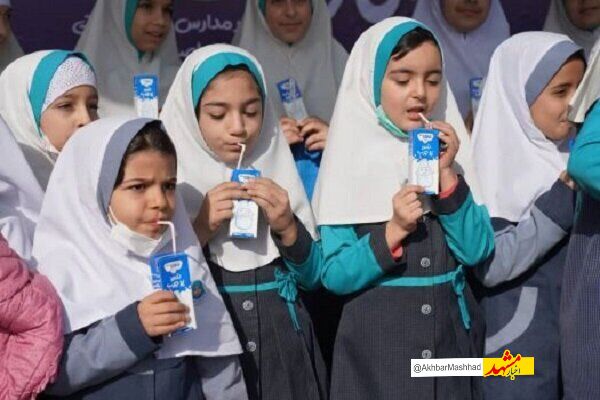 ۵۰۰۰ مدرسه تحت پوشش طرح توزیع شیر رایگان در خراسان رضوی