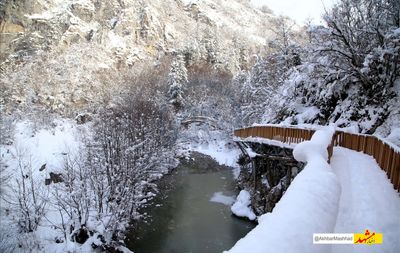 تعطیلی تمامی تفرجگاه‌ها و مناطق تحت مدیریت محیط زیست خراسان رضوی تا پایان هفته