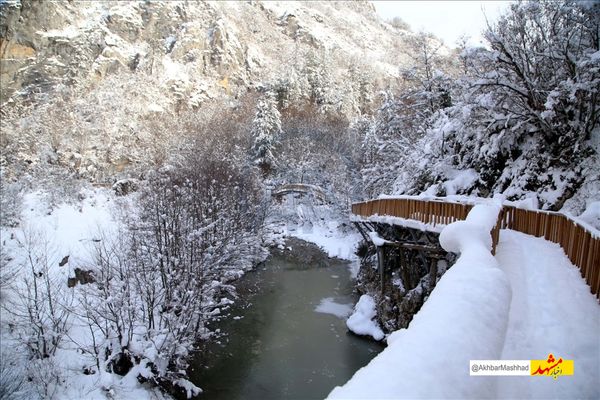 تعطیلی تمامی تفرجگاه‌ها و مناطق تحت مدیریت محیط زیست خراسان رضوی تا پایان هفته