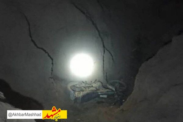 حمله کفتار، کشاورز زبرخانی را روانه بیمارستان کرد