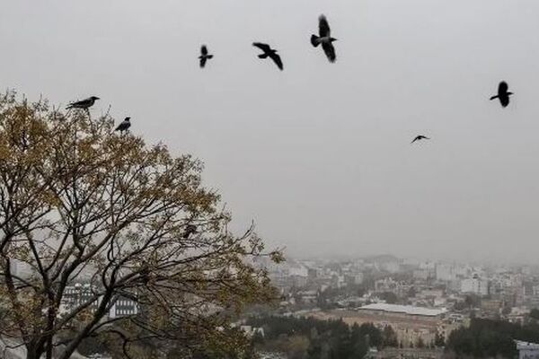 پیش‌بینی هواشناسی مشهد و خراسان رضوی امروز 