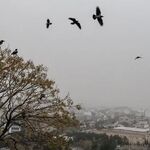 پیش‌بینی هواشناسی مشهد و خراسان رضوی امروز 