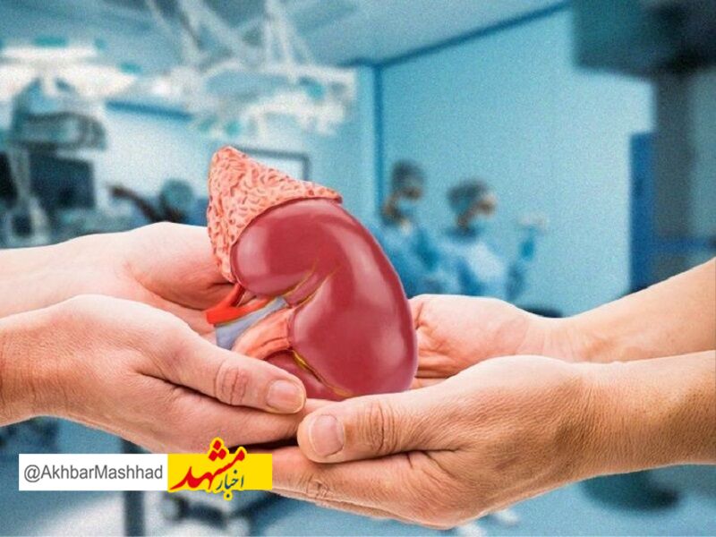 بانوی مرگ مغزی مشهدی جان چهار نفر را نجات داد