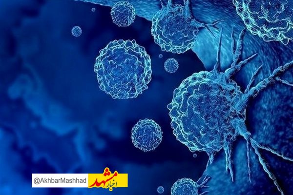 آغاز به کار مرکز پیوند بافت در آرامستان بهشت رضا(ع) مشهد