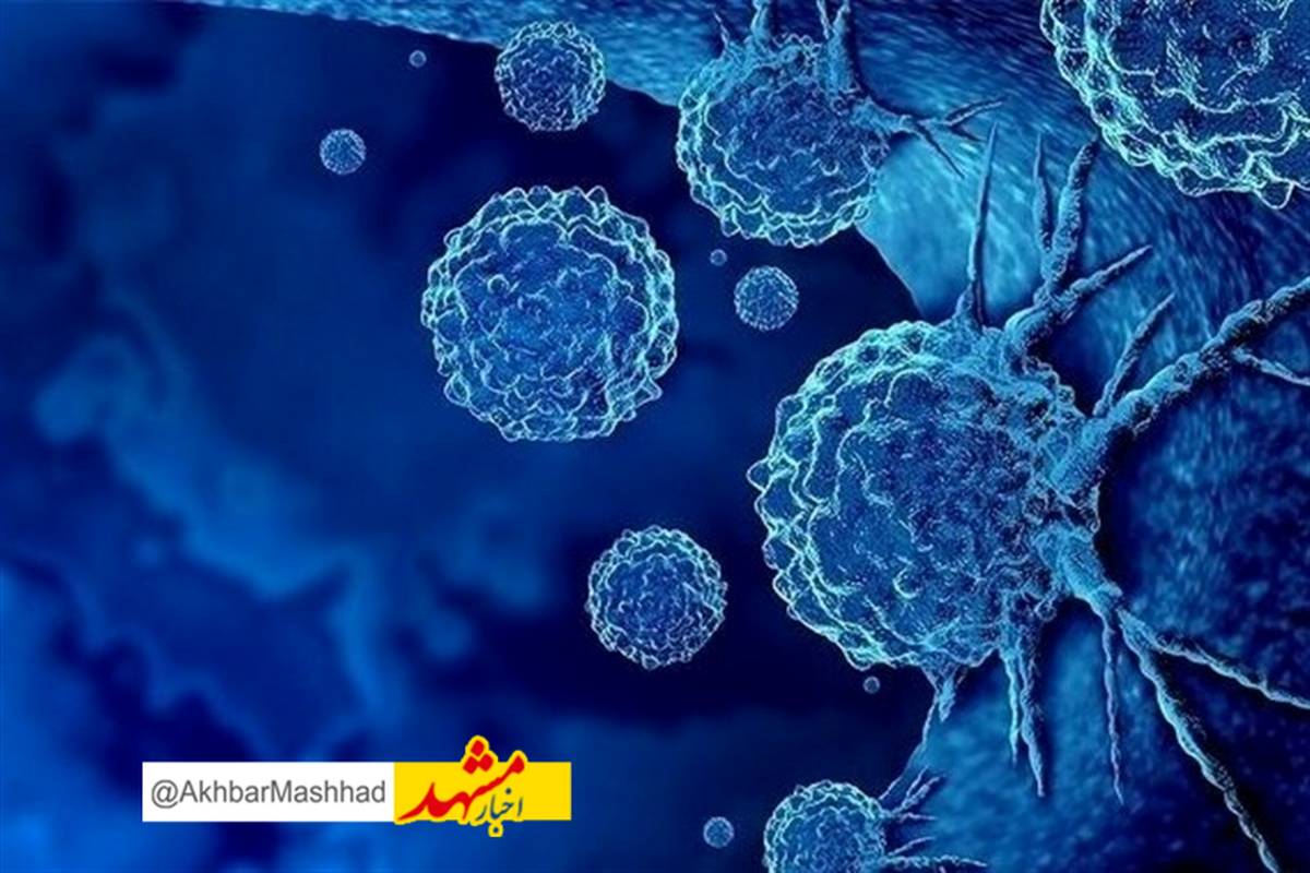 آغاز به کار مرکز پیوند بافت در آرامستان بهشت رضا(ع) مشهد