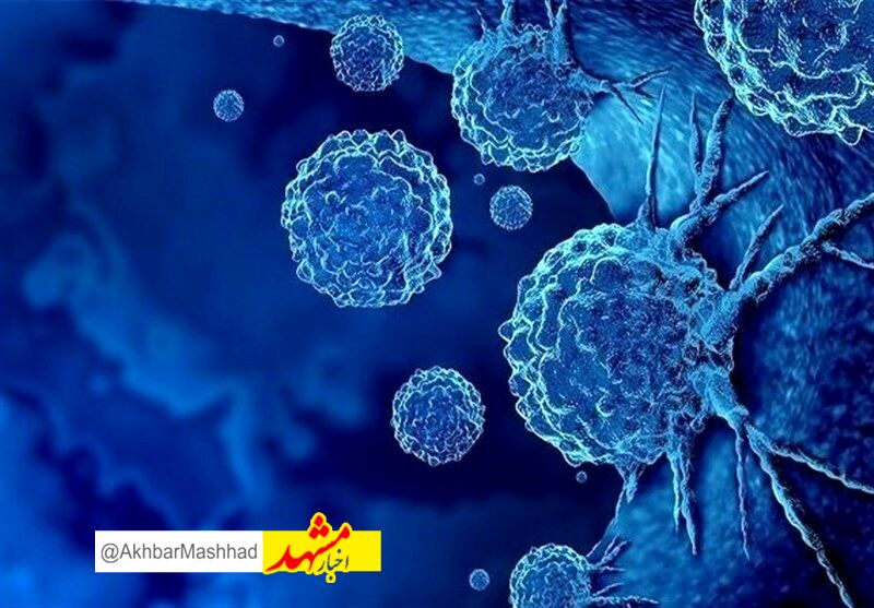 آغاز به کار مرکز پیوند بافت در آرامستان بهشت رضا(ع) مشهد