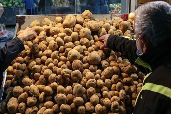نوسان قیمت صیفی‌جات در بازار مشهد | سیب‌زمینی و پیاز در صدر لیست کالا‌های پرمصرف