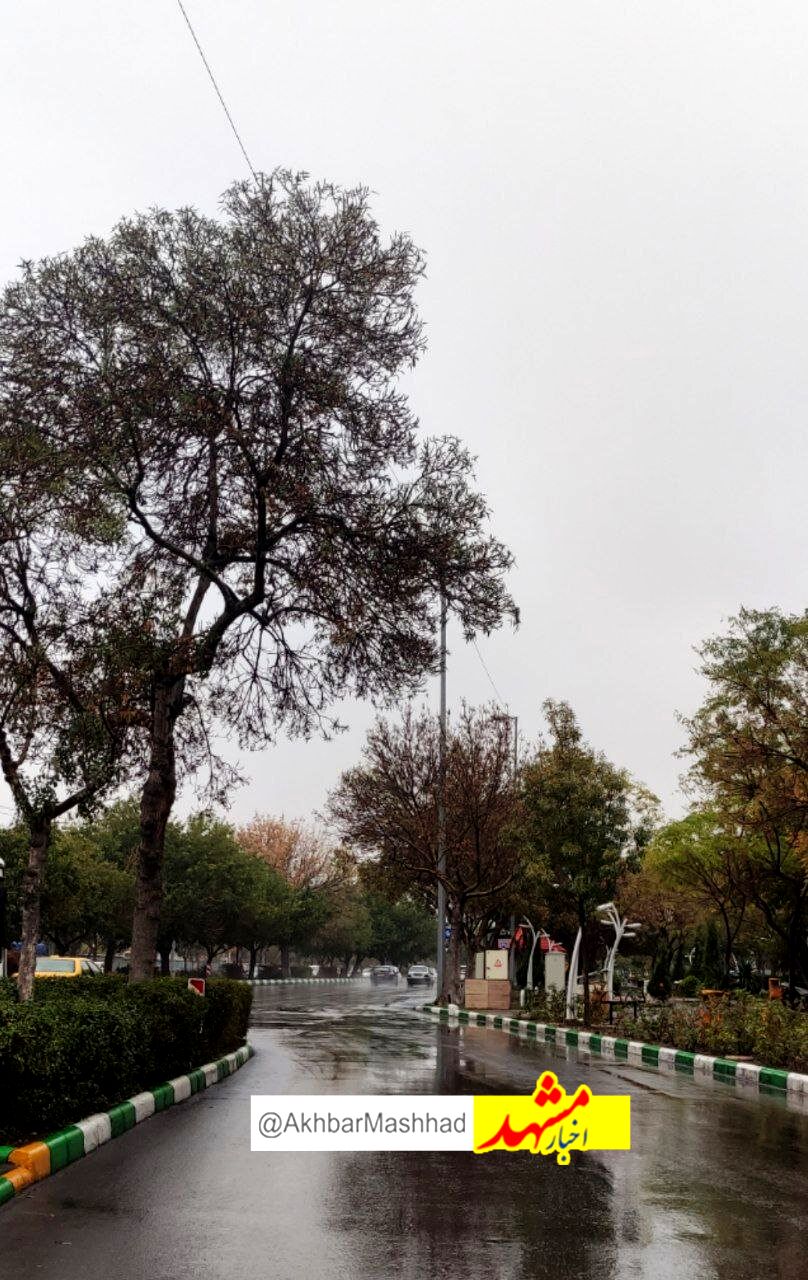باران پاییزی هوای کلانشهر مشهد را پاک کرد