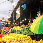 بررسی افزایش قیمت میوه در مشهد