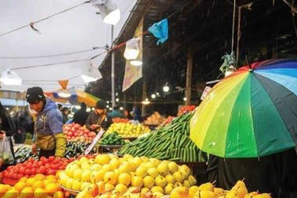 بررسی افزایش قیمت میوه در مشهد