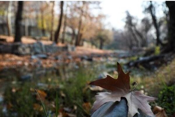 پیش‌بینی هواشناسی مشهد و خراسان رضوی امروز