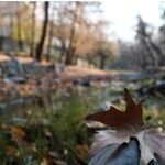 پیش‌بینی هواشناسی مشهد و خراسان رضوی امروز