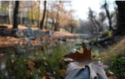 پیش‌بینی هواشناسی مشهد و خراسان رضوی