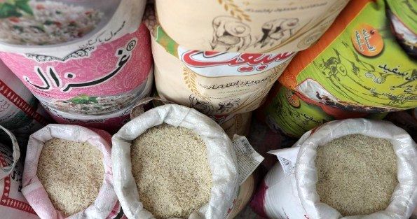 قیمت روز برنج در بازار مشهد (۲۲ فروردین ۱۴۰۵)