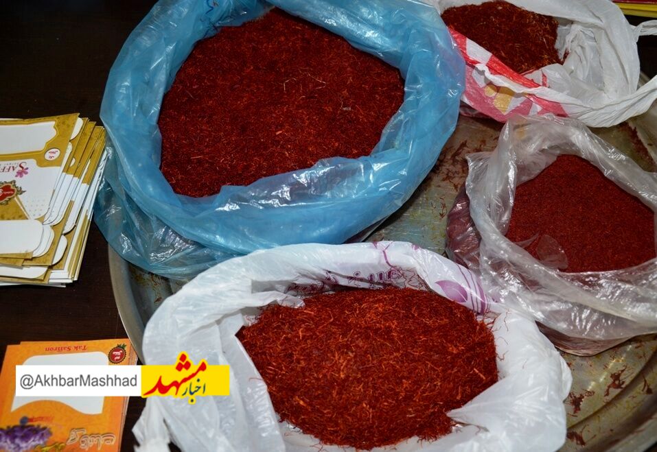خراسان رضوی در تب و تاب «طلای سرخ»| تغییرات اقلیمی ۵۰ درصد تولید زعفران را هدف گرفت