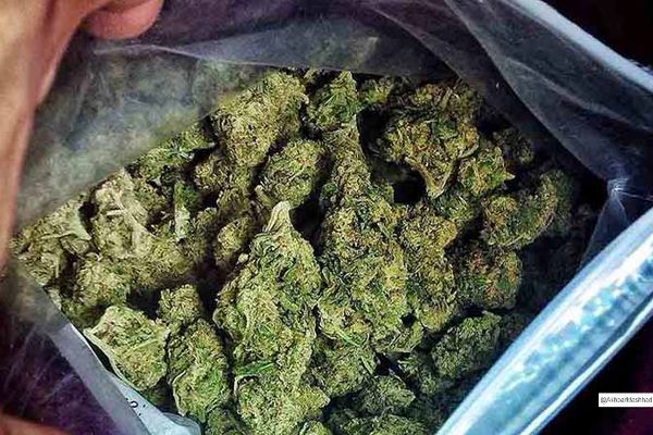 عوارض مصرف گُل در نوجوانان؛ از بی انگیزگی تا آسیبهای مغزی/ زنگ خطری که  جدی گرفته نمی شود