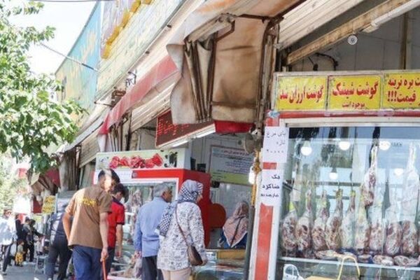 کاهش قیمت گوشت مرغ با توزیع مرغ منجمد در خراسان رضوی | بازار مرغ کنترل شد