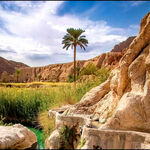 شهرستانی در خراسان گرم‌ترین شهر جهان شد