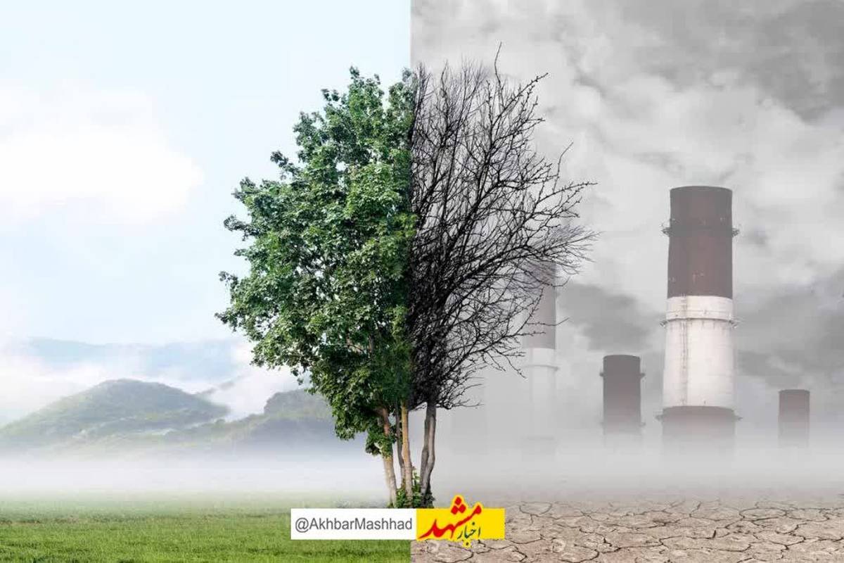 چطور در هوای آلوده از بدن خود محافظت کنیم؟