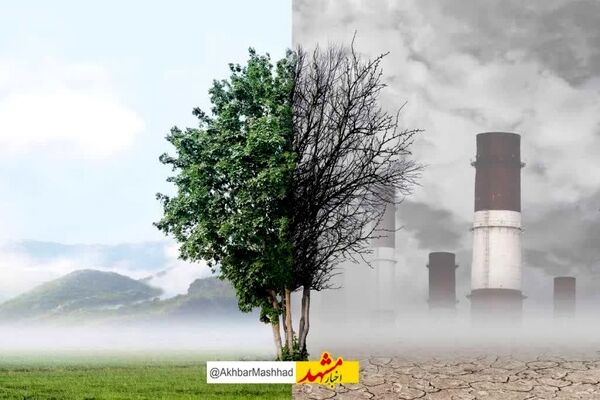  چطور در هوای آلوده از بدن خود محافظت کنیم؟